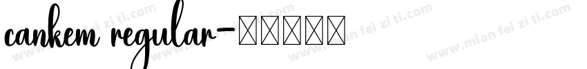 cankem regular字体转换